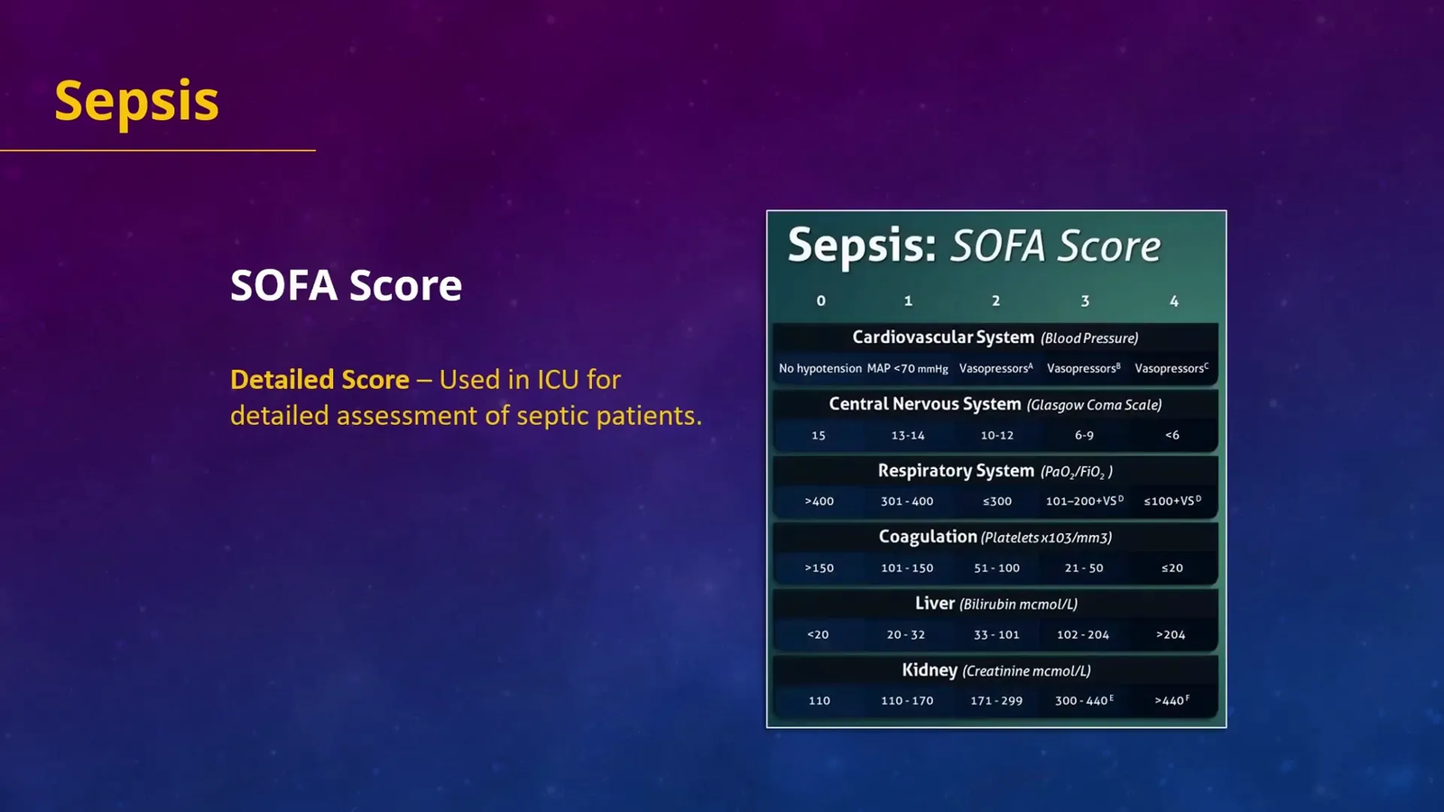 הערכת תפקוד איברים - SOFA