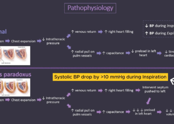 f09d8b87 269f 42d9 99e5 d64f615976c6